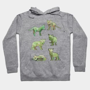 Cactus Fox Hoodie